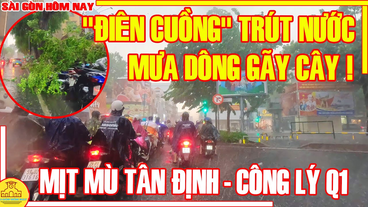 Sài Gòn "ĐIÊN CUỒNG" MƯA DÔNG GÃY CÂY / MỊT MÙ Phố Xá TÂN ĐỊNH & Đường CÔNG LÝ / Sài Gòn Hôm nay