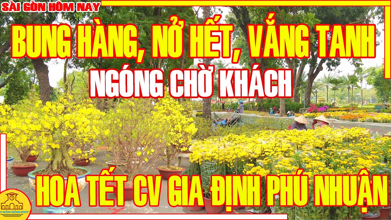 HOA Tết Sài Gòn 2024! BUNG HÀNG NỞ HẾT, VẮNG TANH 27 Tết / Chợ Hoa CV GIA ĐỊNH Sài Gòn Hôm Nay