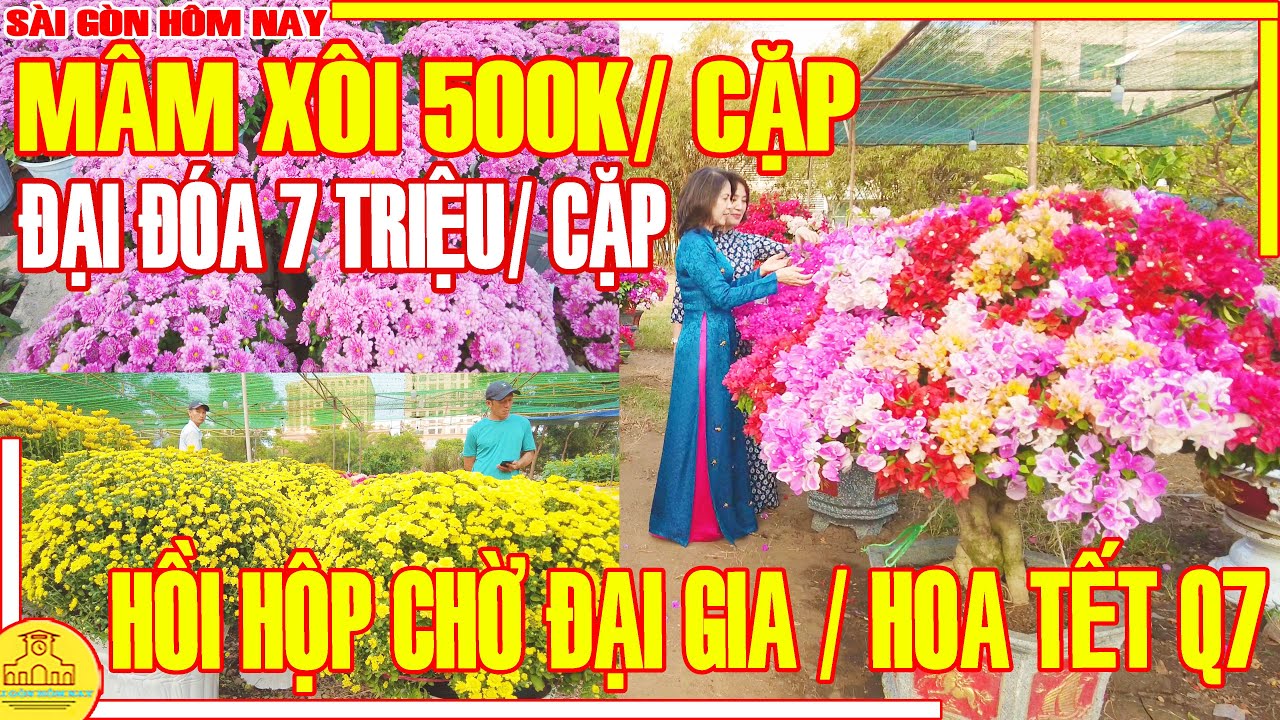 HOA TẾT Sài Gòn  2024 / HỒI HỘP Chờ ĐẠI GIA Chợ Hoa Tết PHÚ MỸ HƯNG Q7 / Sài Gòn Hôm Nay