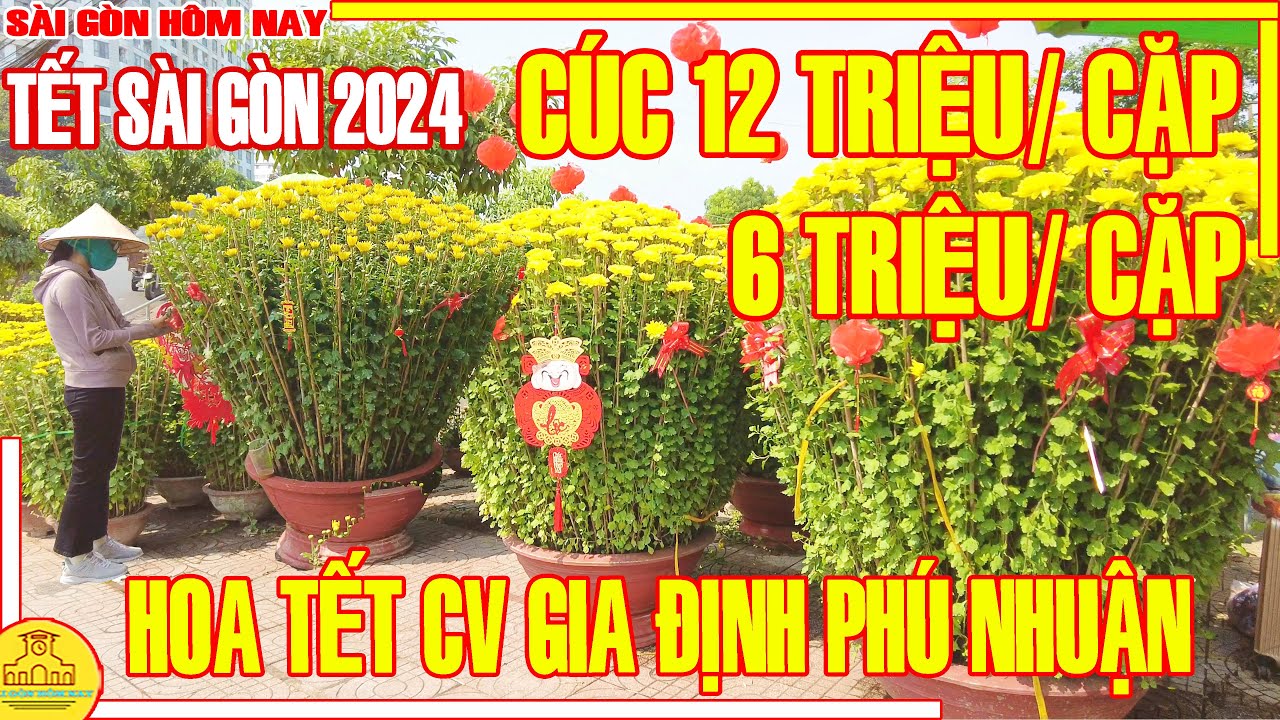 HOA TẾT Sài Gòn 2024! CÚC NỞ BUNG RỒI / Chợ HOA TẾT Công Viên Gia Định Phú Nhuận / Sài Gòn Hôm Nay