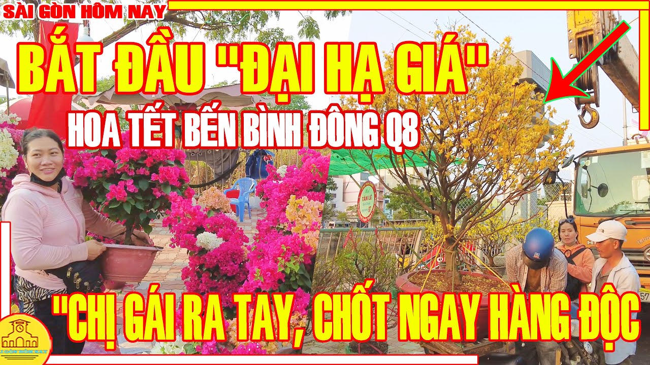 Bắt Đầu ĐẠI HẠ GIÁ! Chợ Hoa BẾN BÌNH ĐÔNG Q8 / CHỊ GÁI RA TAY - CHỐT NGAY HÀNG ĐỘC / Sài Gòn Hôm Nay