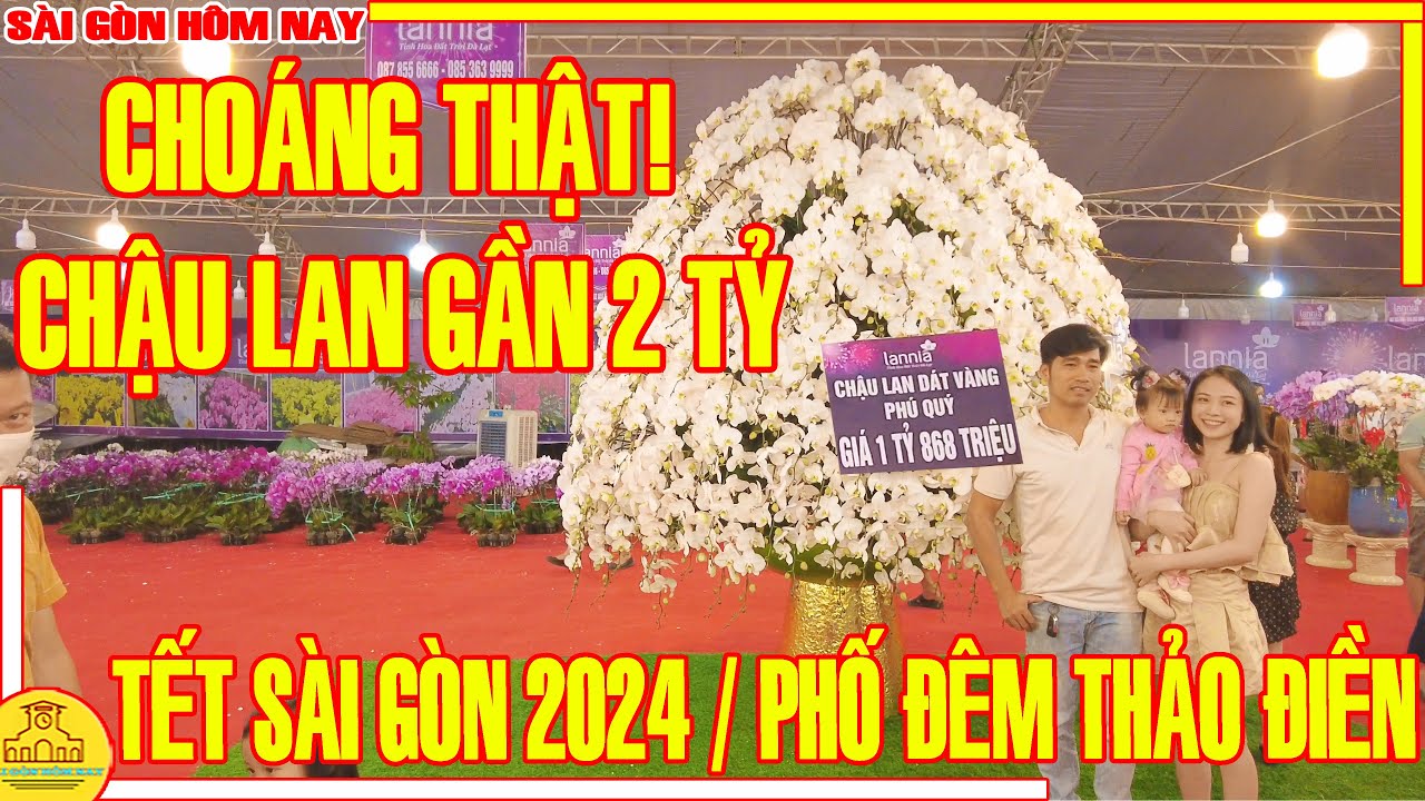 CHOÁNG THẬT! PHÁT HIỆN Chậu Lan Hồ Điệp DÁT VÀNG GẦN 2 TỶ Tết Sài Gòn 2024 / Sài Gòn Hôm Nay