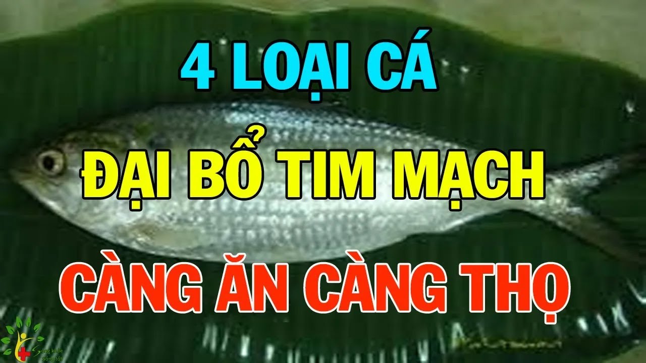 4 loại cá đại bổ tim mạch, càng ăn càng thêm khỏe, kéo dài tuổi thọ - SKST