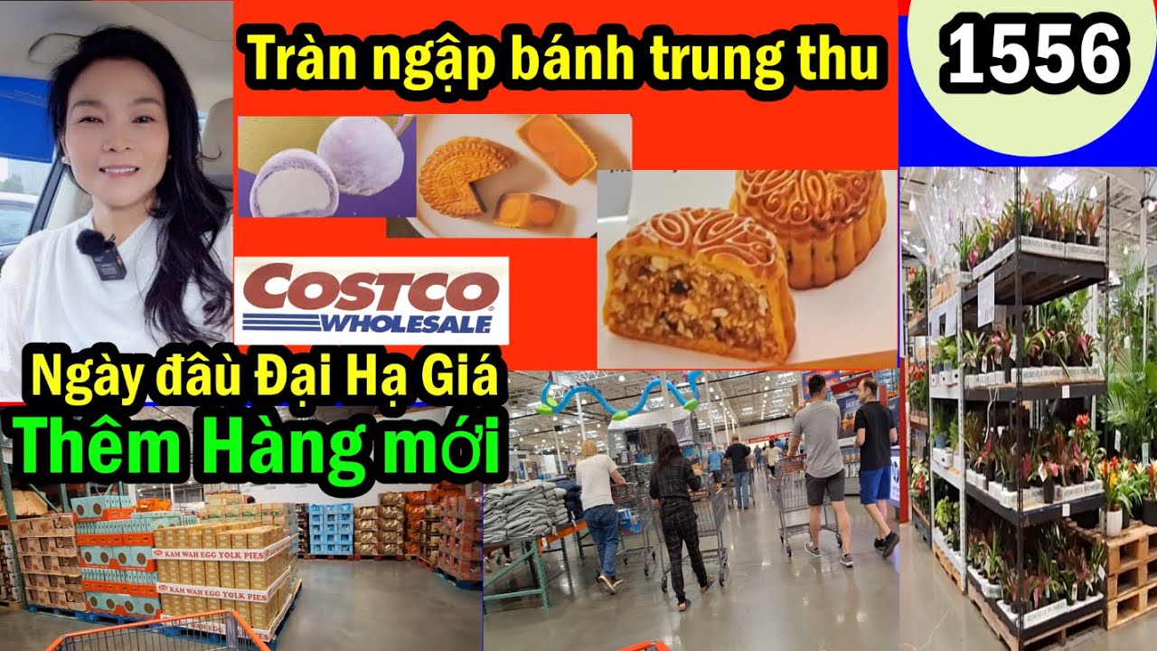 Hàng mới về Costco wholesale Tràn ngập bánh trung thu, ngày đầu đông vui #1556