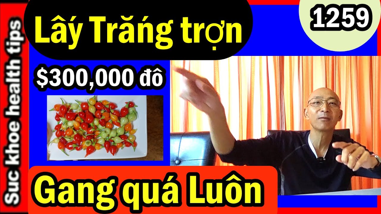 QUÁ TRẮNG TRỢN lấy được $300,000 đô ở Mỹ, Mua bán xe phải biết, ớt nhà, #1259 sell car