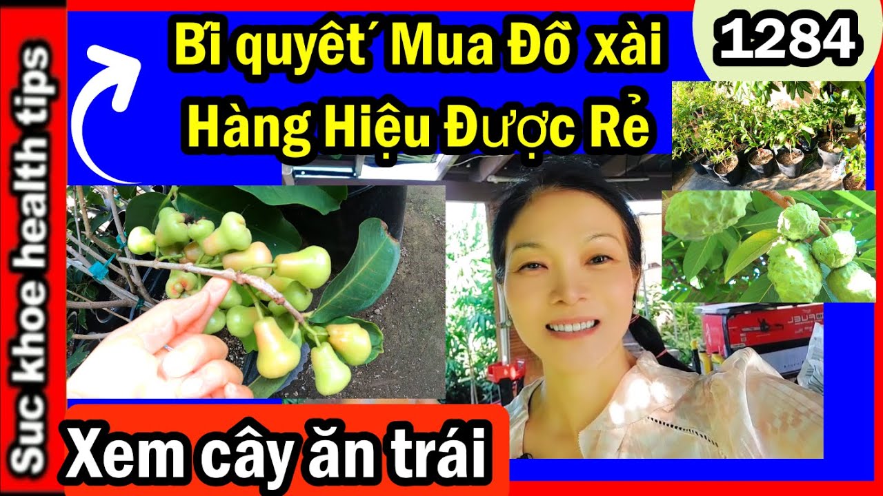 Bí quyết MUA ĐỒ XÀI Được Rẻ ĐÚNG LUẬT hàng hiệu TỐT, cây cần bán, #1283 plants for sale