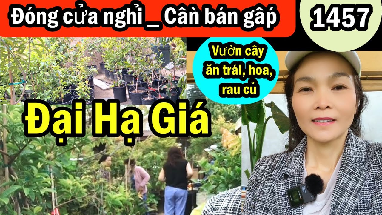 Cần bán gấp đóng cửa nghỉ vườn cây ăn trái, hoa #1457 plants for sale