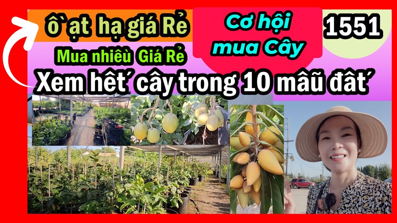 ồ ạt rớt giá quá chừng các cây trong 10 mẫu đất plants for sale, #1551