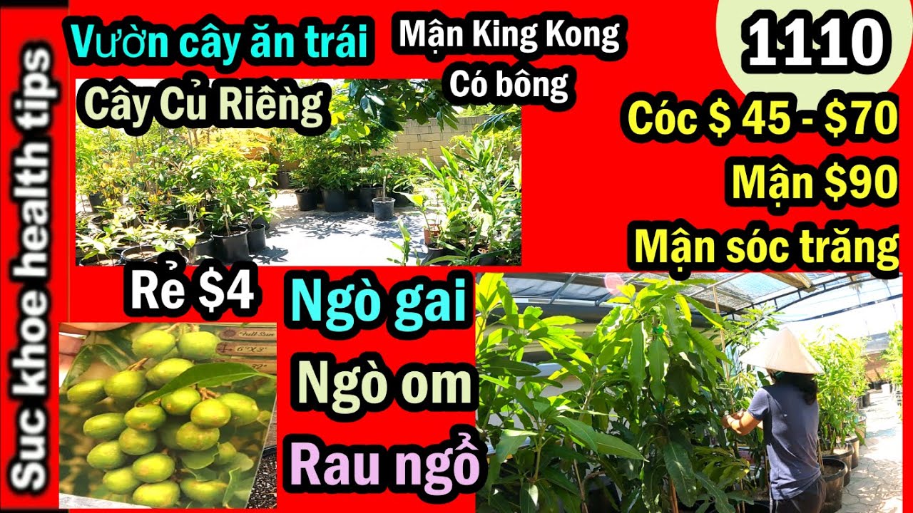 ĐỦ LOẠI CÂY TRÁI: Rau $4,ổi, Mận ST, Cóc $70, Mận $90, KING KONG có bông,#1110 plants 4 sale