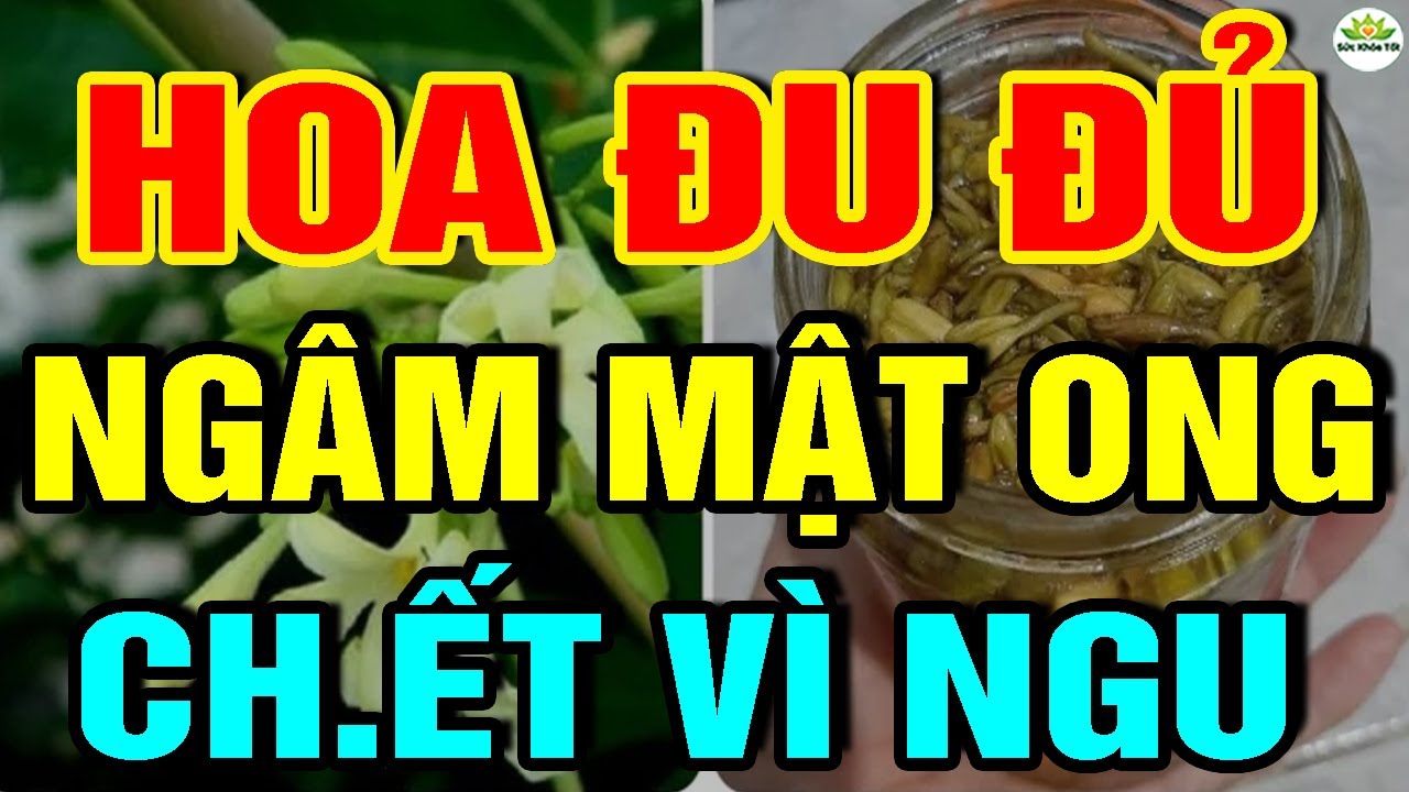 Cảnh Báo: HOA ĐU ĐỦ NGÂM MẬT ONG CỰC ĐỘC Nếu Dùng Theo Cách NGU XUẨN Này,UNG THƯ Có NgàyCHẾTT ĐỘT TỬ