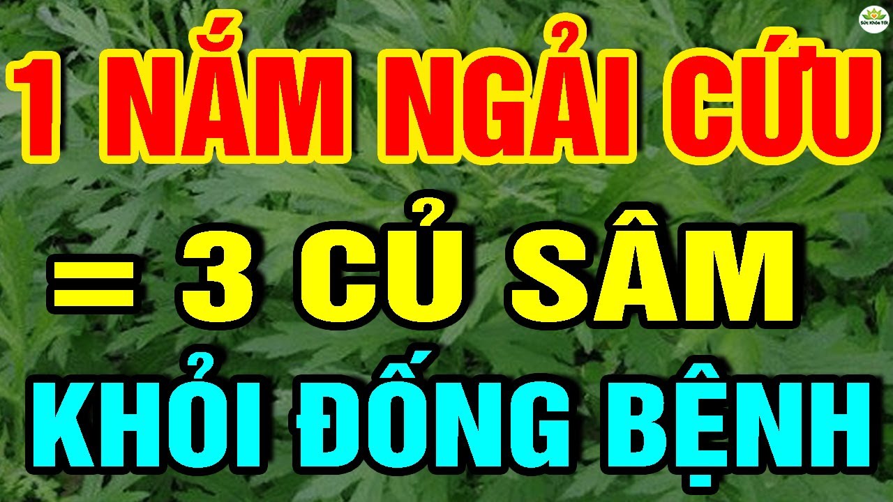 Cảnh báo: Đừng Ăn Cơm Nữa! Cứ ĂN NGẢI CỨU Cùng Thứ Này Bằng 30 Triệu TH.UỐC BỔ, Sống Rất Thọ