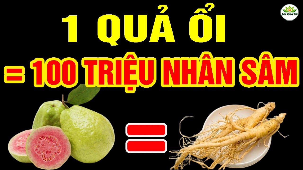 Về Già, Cứ ĂN QUẢ ỔI Cùng Thứ Này Sẽ Sống R.ẤT TH.Ọ, Tim Mạch Khoẻ Mạnh, NGỦ NGON NGỦ SAY ĐẾN SÁNG