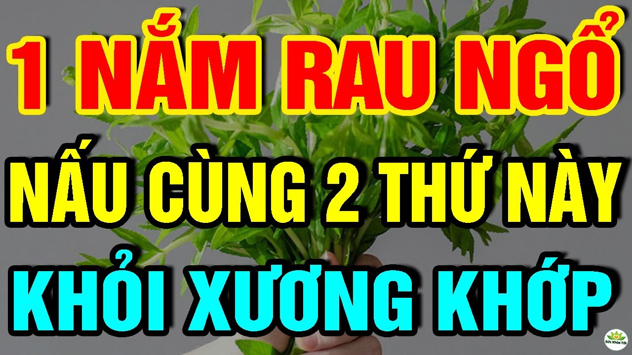 Cảnh báo: Muốn Sống Thọ CỨ ĂN RAU NGỔ Nấu Với 2 THỨ NÀY chữa cả tỷ bệnh, XƯƠNG KHỚP KHỎI ĐAU NGAY