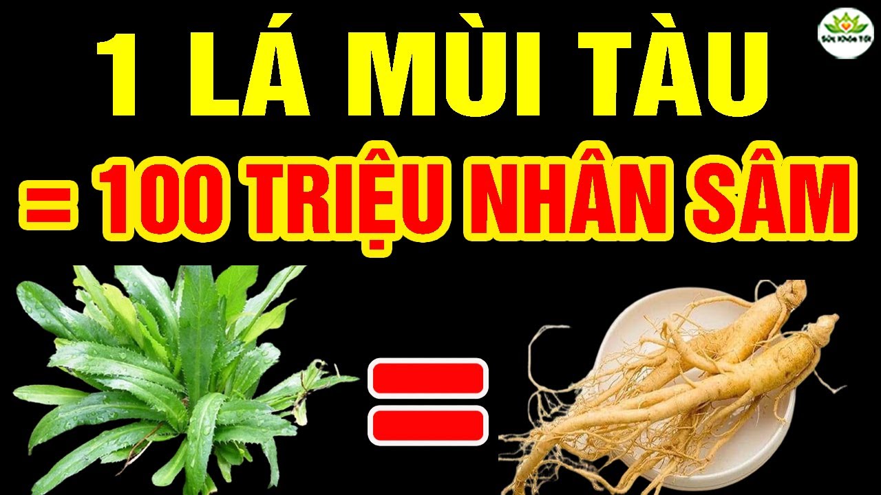 Về Già, Cứ ĂN MÙI TÀU Theo Cách Này Sẽ Sống R.ẤT TH.Ọ, KO LO TIỂU ĐƯỜNG, G.A.N THẬN KHỎE NHƯ VOI