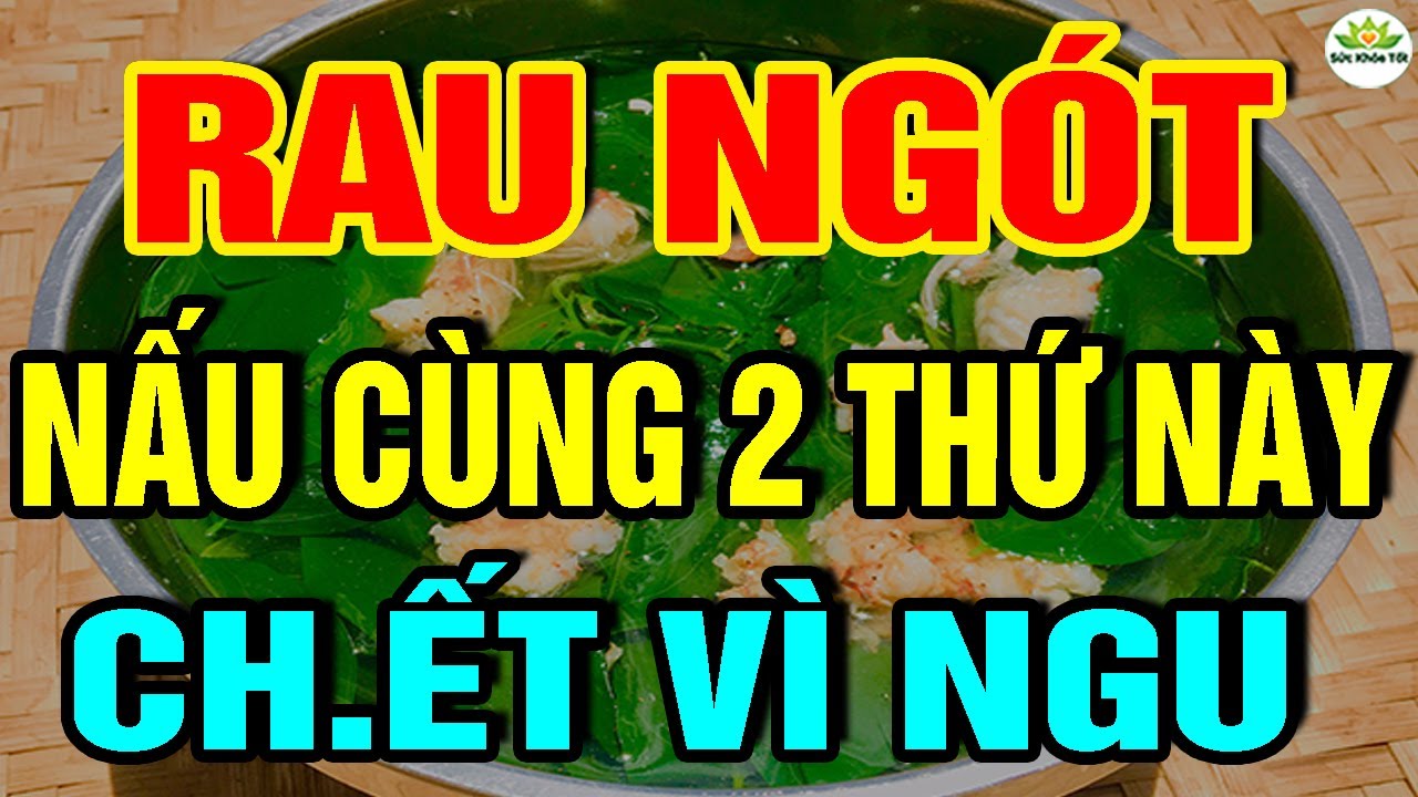 Cảnh Báo: RAU NGÓT CỰC KỲ NGUY HIỂM Nếu Nấu Cùng 3 THỨ Này, UNG THƯ Có NgàyCHẾTT ĐỘT TỬ