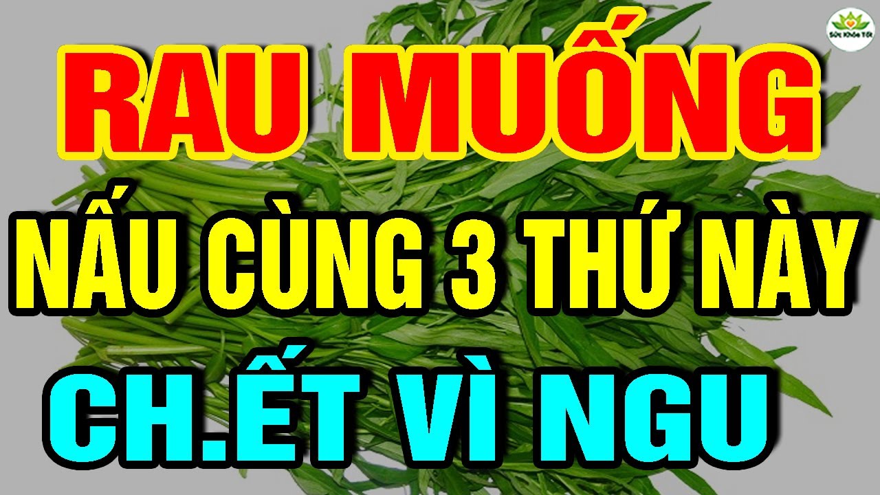 Cảnh Báo: RAU MUỐNG CỰC KỲ NGUY HIỂM Nếu Nấu Cùng 3 THỨ Này, UNG THƯ Có NgàyCHẾTT ĐỘT TỬ