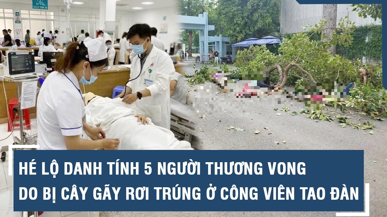 Hé lộ danh tính 5 người thương vong do bị nhánh cây gãy rơi trúng ở Công viên Tao Đàn l VTs