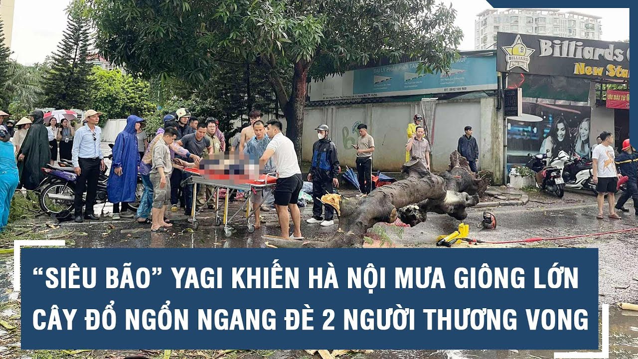 “Siêu bão” Yagi khiến Hà Nội mưa giông lớn, cây đổ ngổn ngang đè 2 người thương vong l VTs