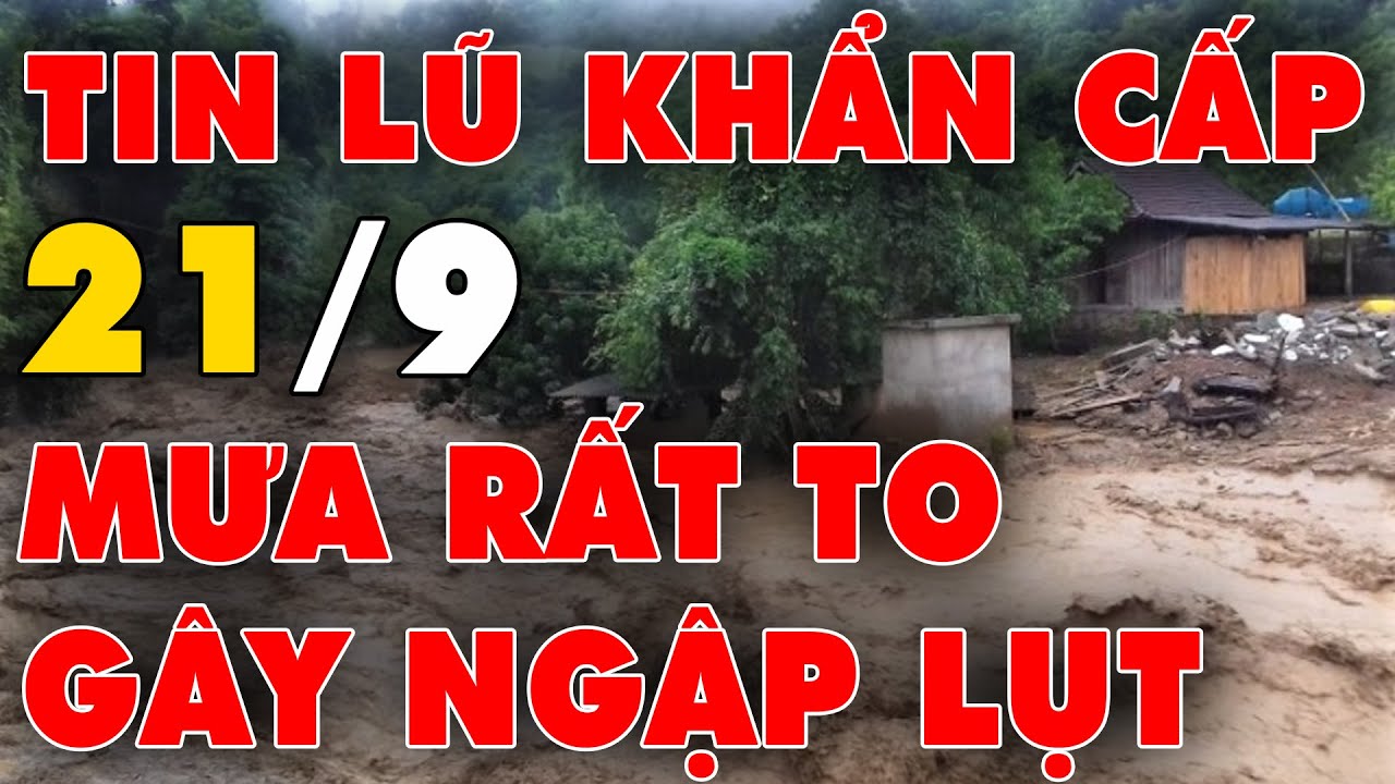 🔥 TIN LŨ KHẨN CẤP: Hoàn lưu bão số 4 gây mưa to đến rất to, Miền Trung nhiều nơi ngập sâu