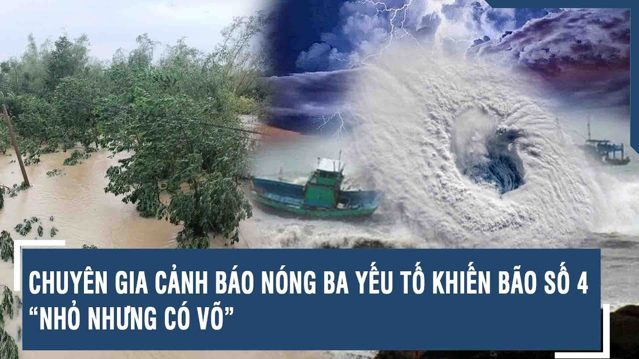 Chuyên gia cảnh báo nóng ba yếu tố khiến bão số 4 “nhỏ nhưng có võ” | VTs