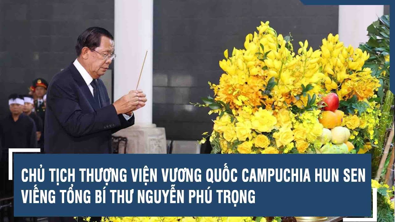 Chủ tịch Thượng viện Vương quốc Campuchia Hun Sen viếng Tổng Bí thư Nguyễn Phú Trọng | VTs