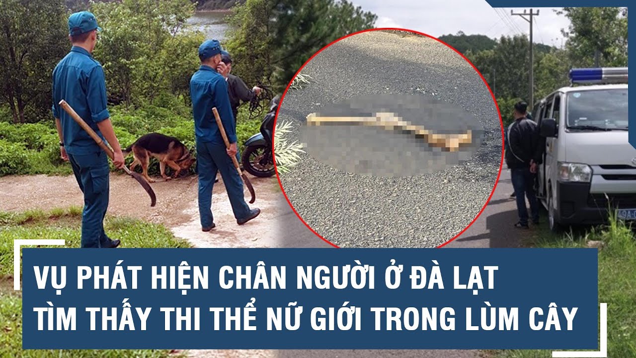 Vụ phát hiện chân người ở Đà Lạt: Tìm thấy thi thể nữ giới trong lùm cây l VTs