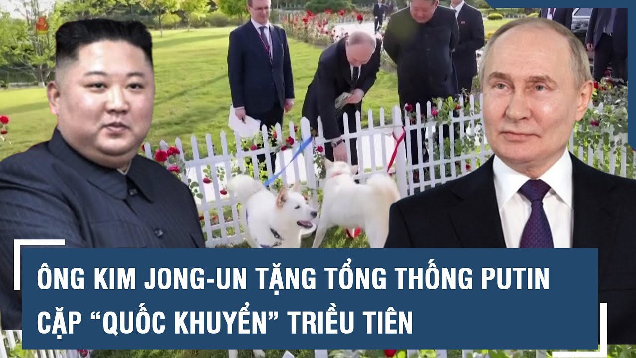 Ông Kim Jong-un tặng Tổng thống Putin cặp “quốc khuyển” Triều Tiên l VTs