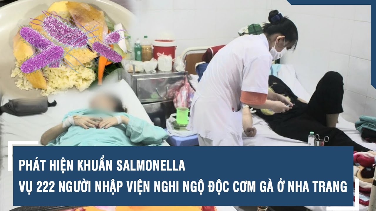 Vụ nghi ngộ độc cơm gà ở Nha Trang: Phát hiện vi khuẩn Salmonella | VTs