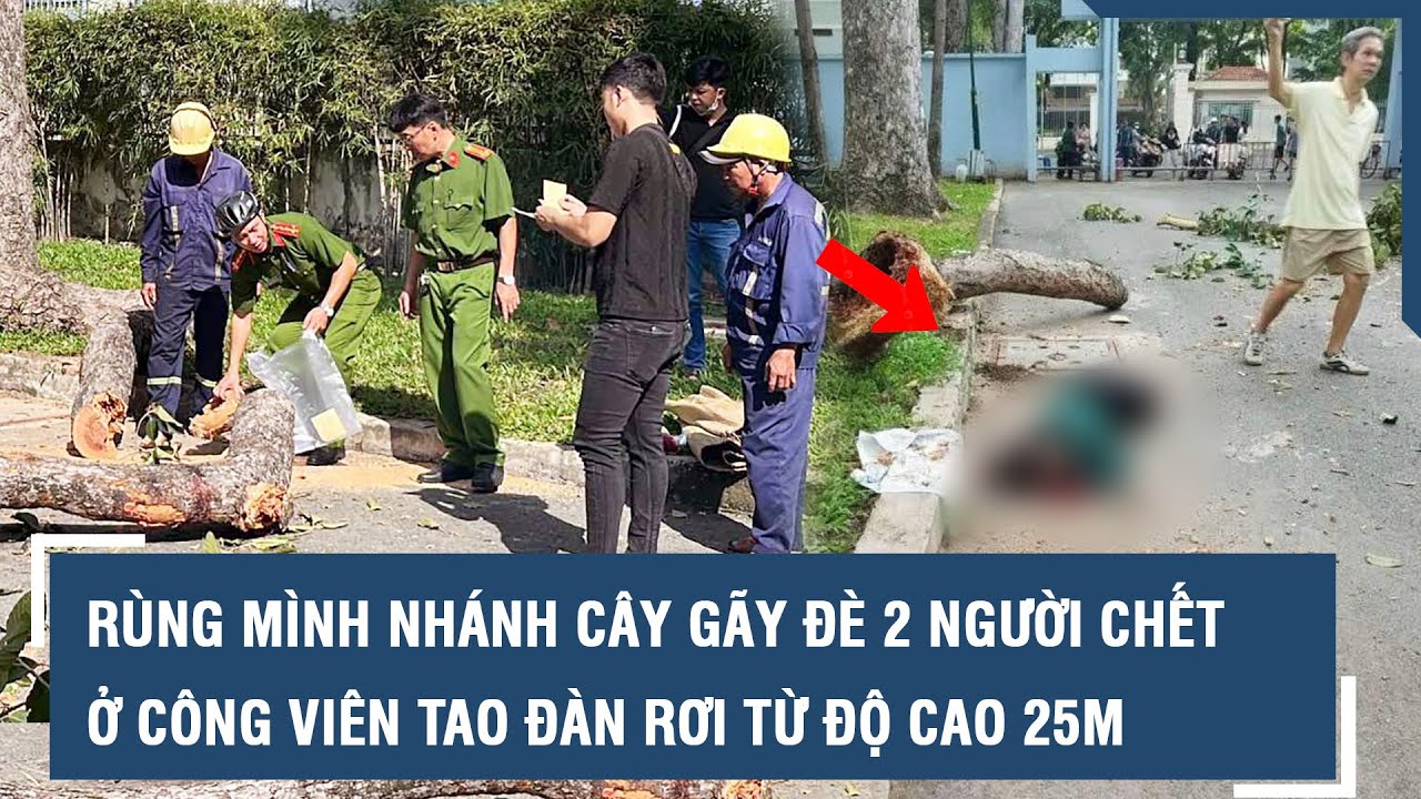 Rùng mình nhánh cây gãy đè 2 người chết ở công viên Tao Đàn rơi từ độ cao 25m l VTs