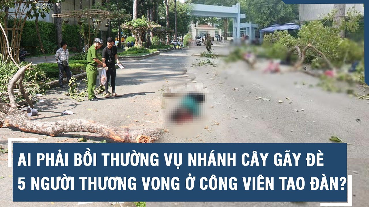 Ai phải bồi thường vụ nhánh cây gãy đè chết 2 người, 3 người bị thương nặng ở Công viên Tao Đàn?