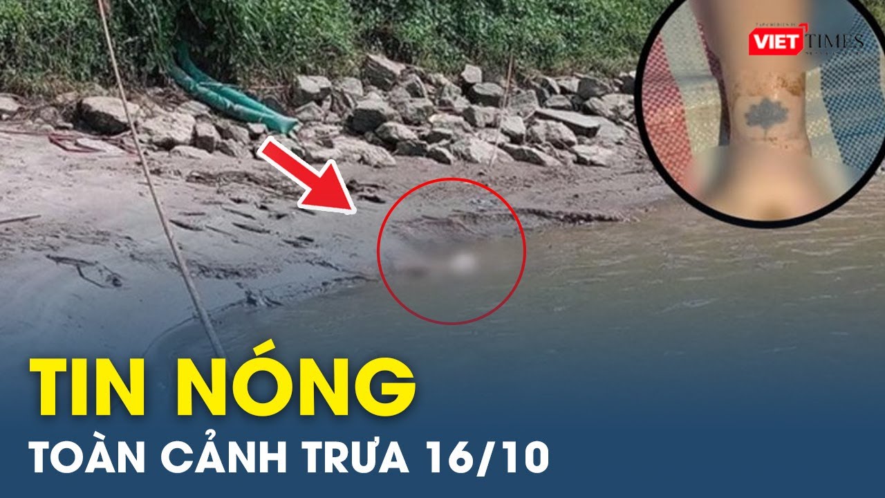 Tin nóng toàn cảnh Trưa 16/10 |Tin mạng xã hội nóng nhất | Thời sự Việt Nam 24h mới nhất |VietTimes