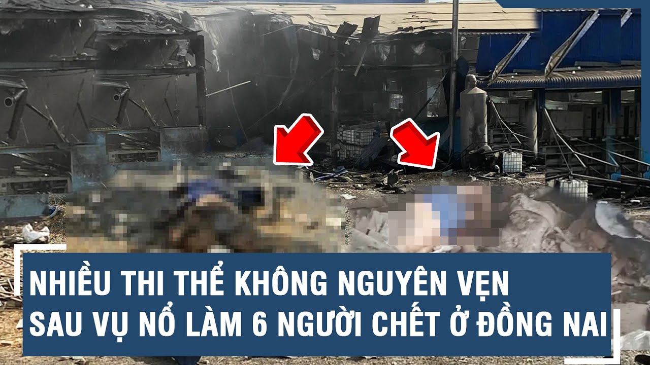 Nhiều thi thể không nguyên vẹn sau vụ nổ làm 6 người chết ở Đồng Nai l VTs