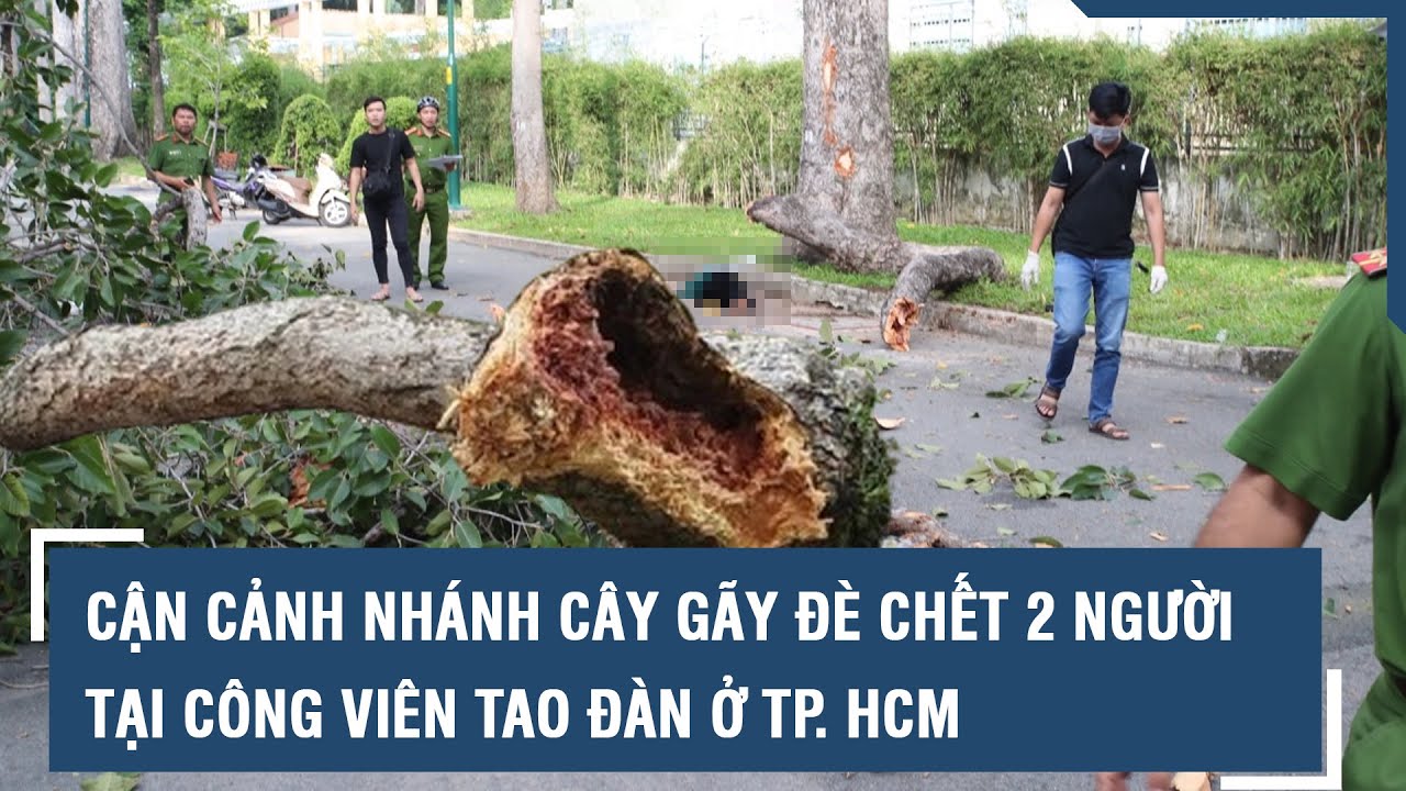 Cận cảnh nhánh cây gãy đè chết 2 người tại Công viên Tao Đàn ở TP. HCM l VTs