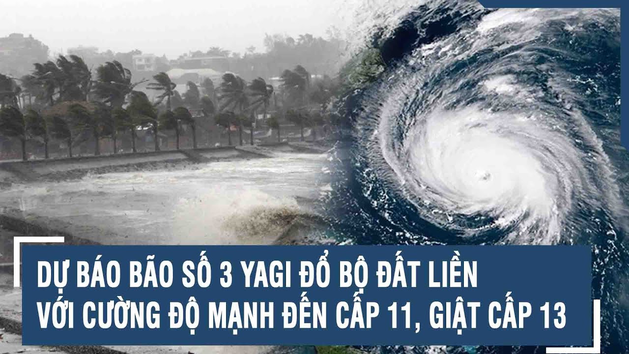 Dự báo bão số 3 Yagi đổ bộ đất liền với cường độ mạnh đến cấp 11, giật cấp 13 | VTs