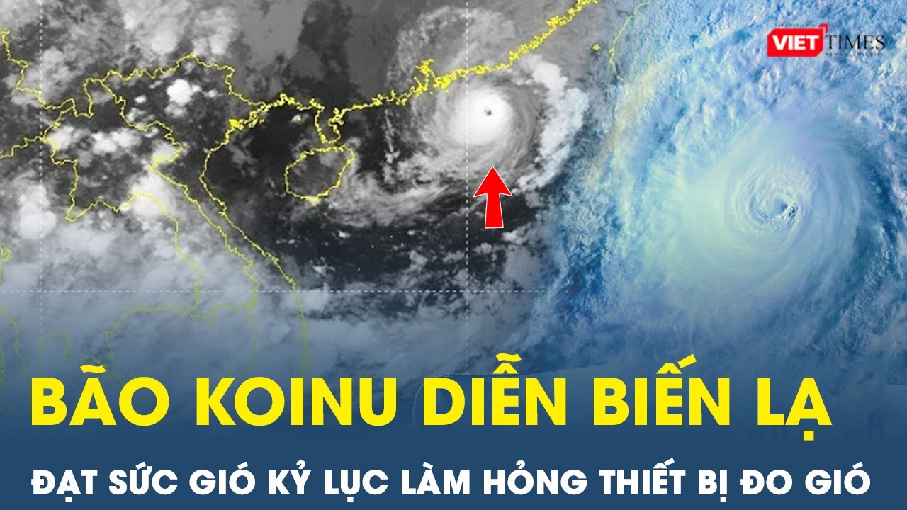 Bão KOINU lấy lại sức mạnh trên đường di chuyển; Rãnh áp thấp mới xuất hiện nối bão Koinu | VT