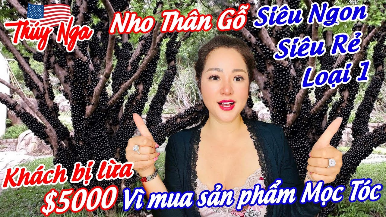 Nho thân Gỗ siêu ngon siêu rẻ loại 1… Khách bị lừa $5000 vì mua sản phẩm mọc tóc..