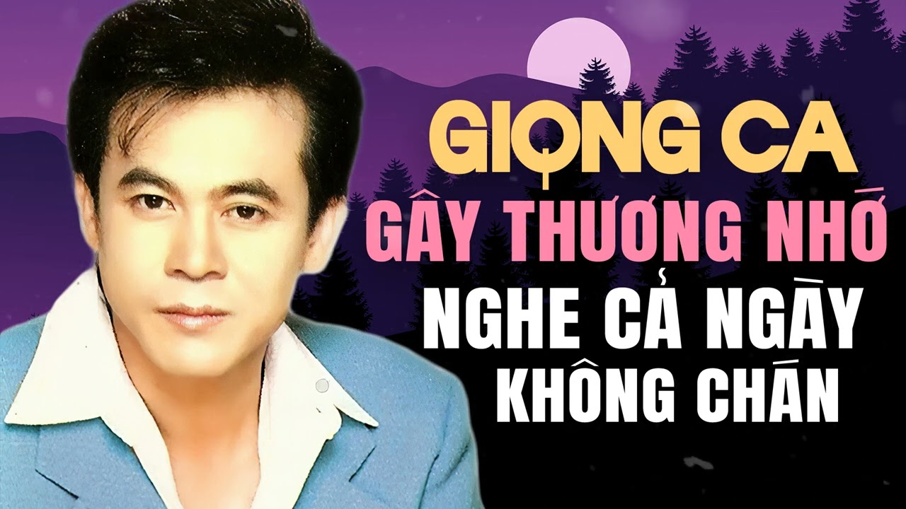 THÁI CHÂU - Giọng ca gây thương nhớ nghe cả ngày không chán | Nhạc Vàng Trữ Tình Thái Châu