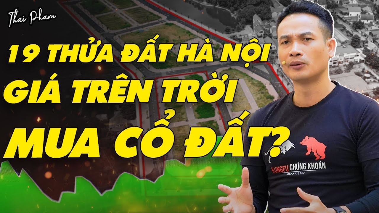 19 THỬA ĐẤT NGOẠI THÀNH HÀ NỘI ĐẤU GIÁ TRÊN TRỜI, ĐIỀU GÌ ĐANG XẢY RA? CÓ NÊN MUA CỔ ĐẤT KHÔNG?