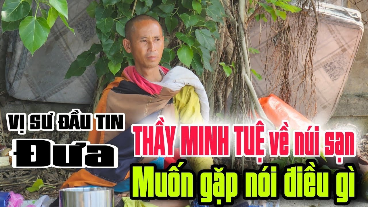 Vị sư đâu tin đưa THẦY MINH TUỆ về núi sạn muốn tìm thầy nói điều gì