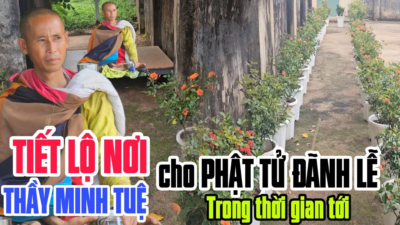 Tiết lộ NƠI Phật tử gặp THẦY MINH TUỆ Đãnh lễ