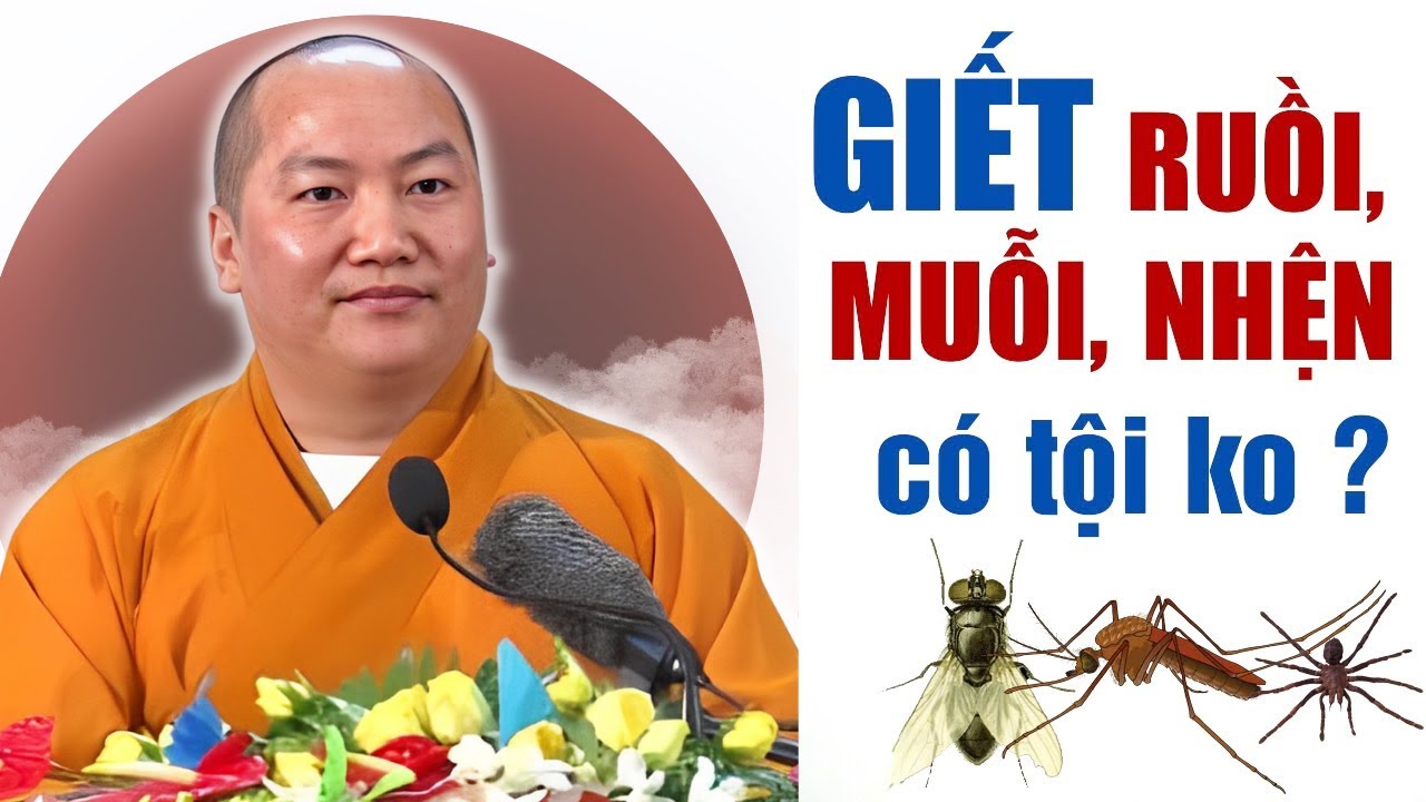 "Giết Ruồi, Muỗi, Nhện,. Có Phạm Tội Sát Sanh Không? (Nghe Để Tránh) - Thuyết Pháp Thích Phước Tiến