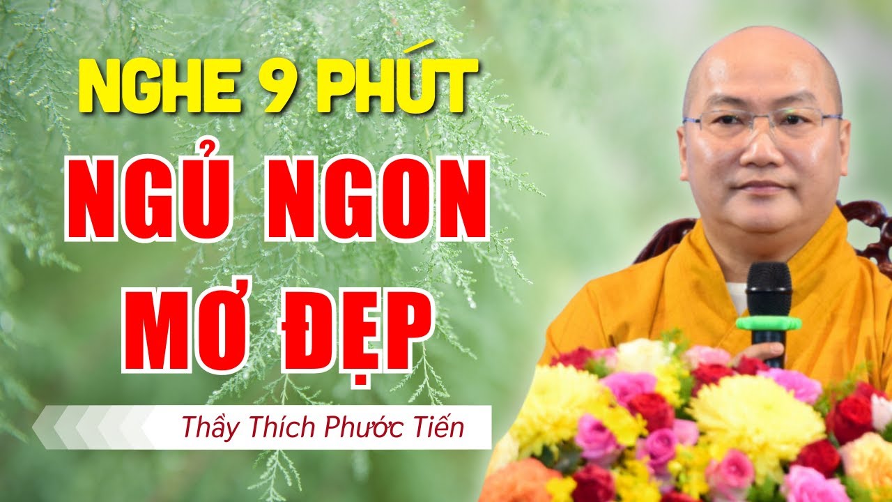 Pháp Thoại Hay Về ĐẠO LÀM NGƯỜI Nghe Mỗi Tối Ngủ Ngon Giấc - Vấn Đáp Thích Phước Tiến