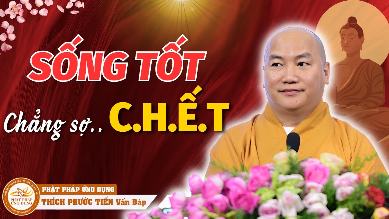 Tại Sao Chúng Ta Sợ C.H.Ế.T? Không Sống Tốt, Quả Báo Đớn Đau (Rất Hay) | Thích Phước Tiến Vấn Đáp