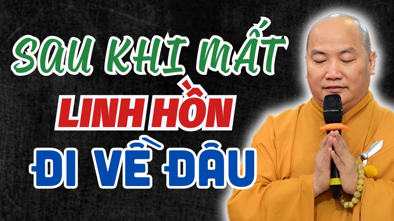 Sau Khi Mất Con Người Ta Sẽ Đi Về Đâu (Không Nghe Tiếc 1 Đời) - Vấn Đáp Thích Phước Tiến