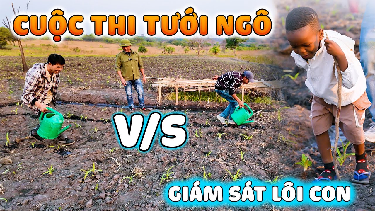 Thế Nhân || Cuộc Thi Cân Não Giữa David Thảo Và Phan Hậu Với Sự Giám Sát Của Trọng Tài Lôi Con