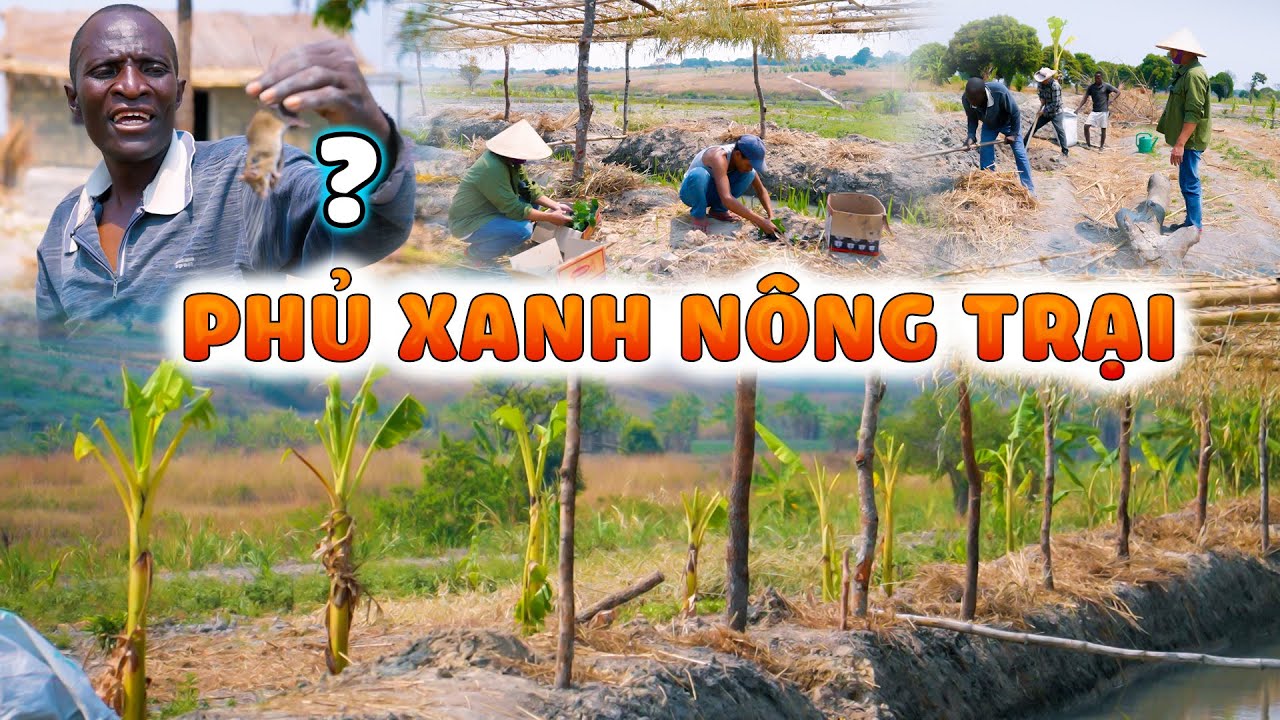 Thế Nhân || Từng Bước Đưa Nông Trại Số 1 Bản Kapingala Trở Thành Hình Mẫu