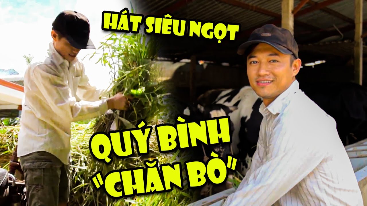 CHÀNG TRAI "Chăn Bò" QUÝ BÌNH Cất Giọng Hát SIÊU NGỌT Khiến Ai Nghe Cũng MÊ NHƯ ĐIẾU ĐỔ | THVL