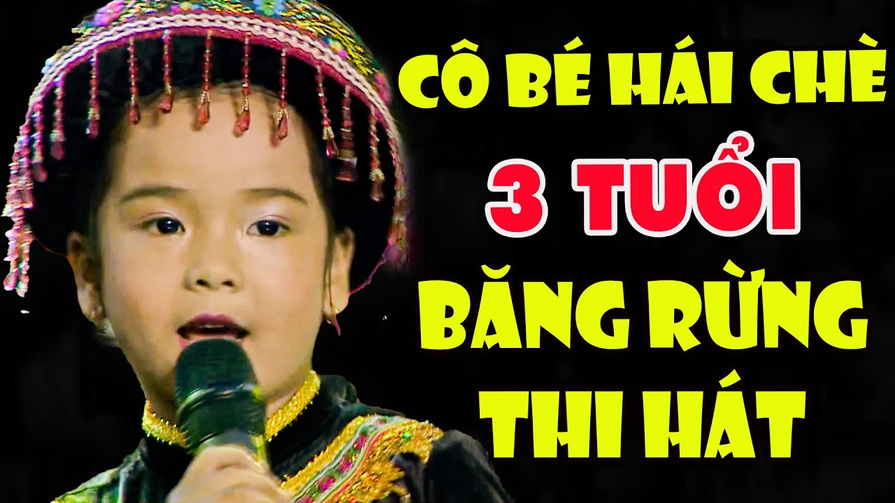 CÔ BÉ HÁI CHÈ 3 TUỔI BĂNG RỪNG THI HÁT Khiến Cả Trường Quay BẤT NGỜ Vì XINH NHƯ THIÊN THẦN | THVL