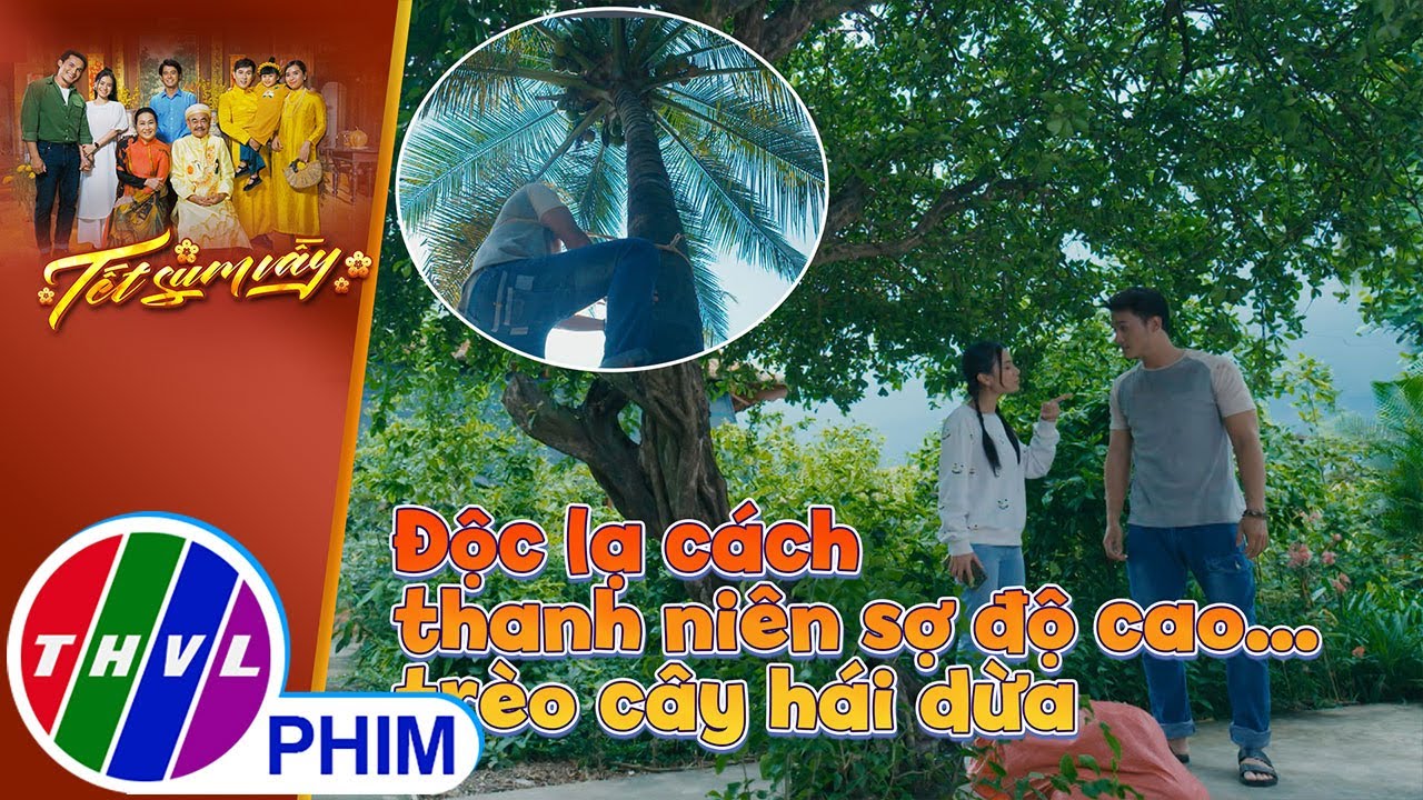 Độc lạ cách thanh niên sợ độ cao... trèo cây hái dừa | TẾT SUM VẦY