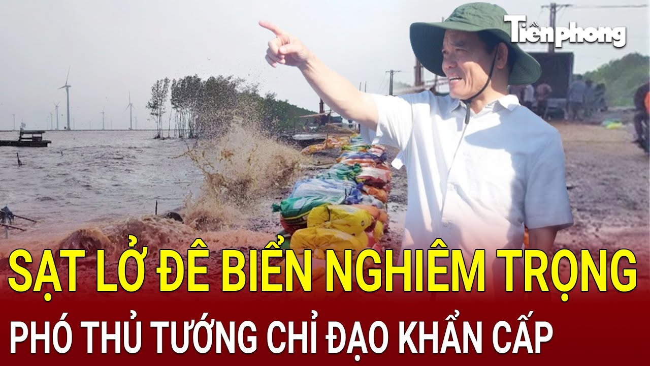 Sạt lở đê biển nghiêm trọng ở Bạc Liêu và Cà Mau: Phó Thủ tướng chỉ đạo khẩn cấp tại hiện trường